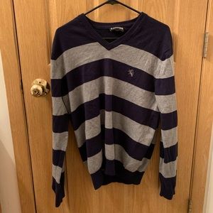 Express V-Neck Sweater